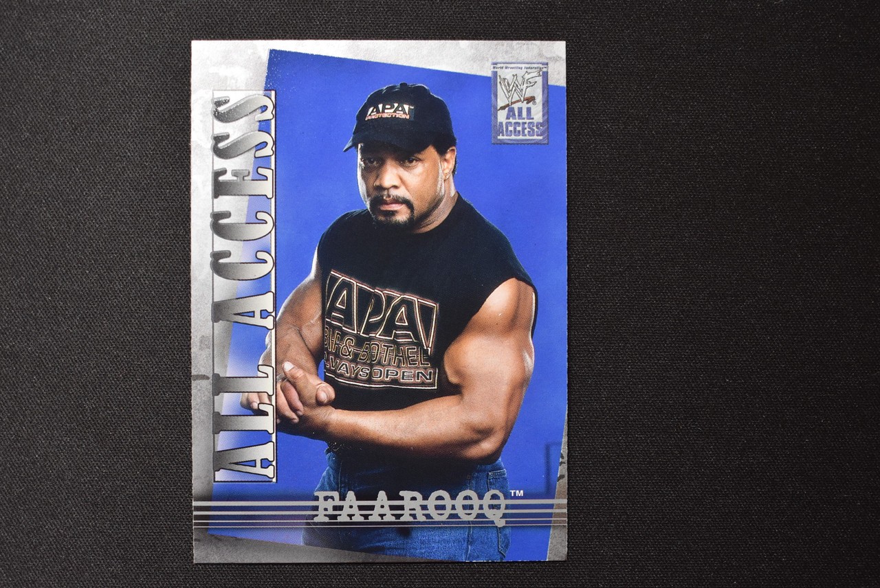 Faarooq 2002 Fleer WWF All Access #21
