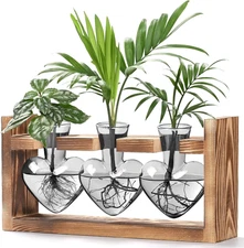 Heart Shaped Propagation Stations, Plant Terrarium with Wooden Stand, Plant Prop