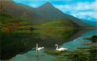 Ansichtskarte__Loch Leven und der Pap von Glencoe