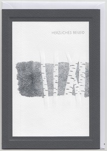 Details Zu Din A5 Große Trauerkarte Herzliches Beileid Birken Mit Silberprägung