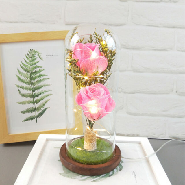 Enchanted Forever Rose Flower In Glass LED Light Wedding Mother/'s Day Gift BR