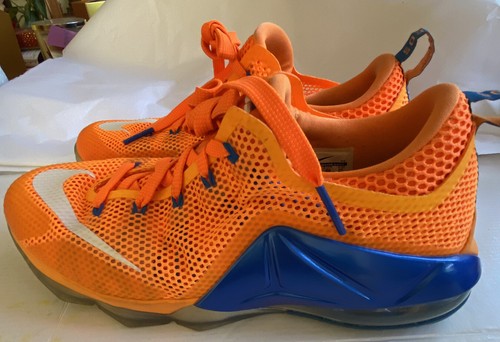 lebron 12 low earned