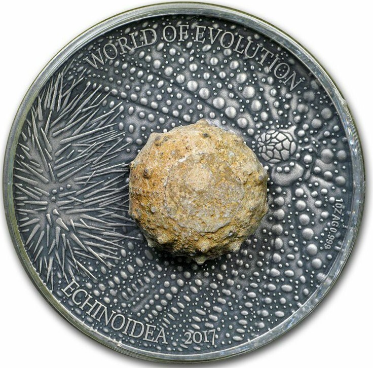 2017 Burkina Faso World Of Evolution ECHINOIDEA Antique