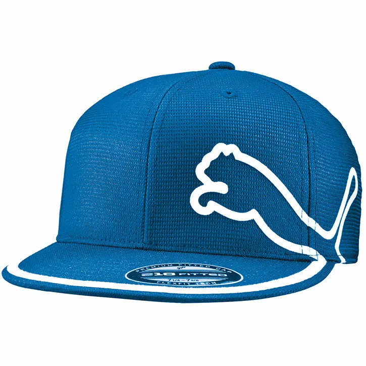 Puma monoline cap deals