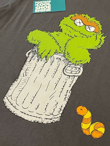 2018 UNIQLO KAWS SESAME STREET OSCAR 