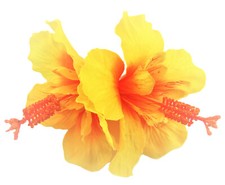 Double Yellow Orange Hibiscus Silk Flower Hair Clip with Teeth