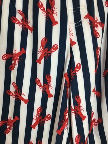 NWT Wonder Nation Boy stripes Lobster Swim Trunks Set UPF 50+ Navy many sizes - Picture 2 of 4