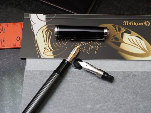 Dual Nib! PELIKAN SOUVERAN M1005 STRESEMANN 2019 SE FOUNTAIN PEN M & F 18k