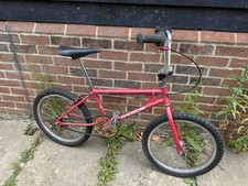 eBay Auction Picture