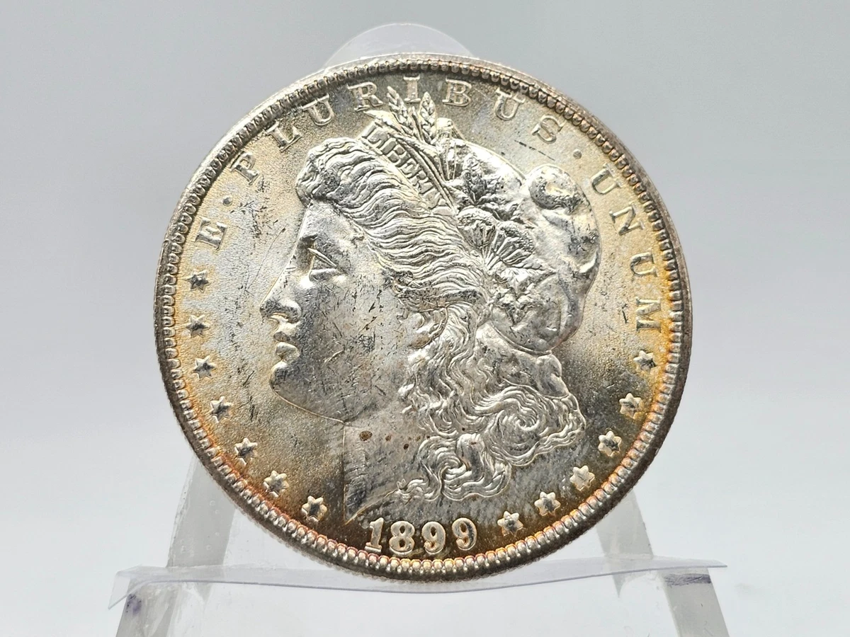 1899 Year Morgan US Dollars (1878-1921) for sale | eBay
