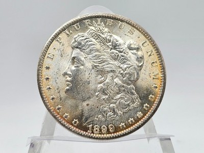 1899-O Morgan Silver Dollar **Brilliant Uncirculated High Grade** #4