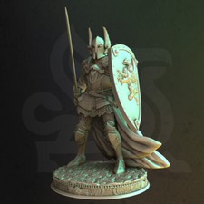 Silus Human Guard Captain Fighter Knight Paladin Miniature  D D DnD 