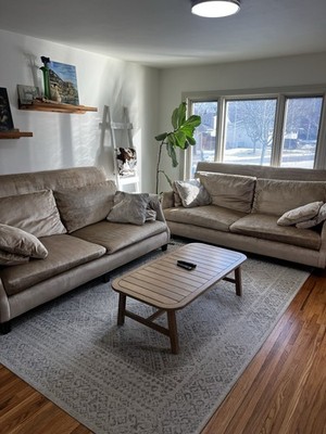 Set of Large Arhaus Couches Local Pick Up Chenille