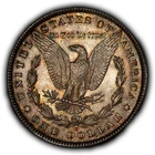 1881-S $1 Morgan Silver Dollar - Neon Rainbow Accent Toning - BU - SKU-D7618