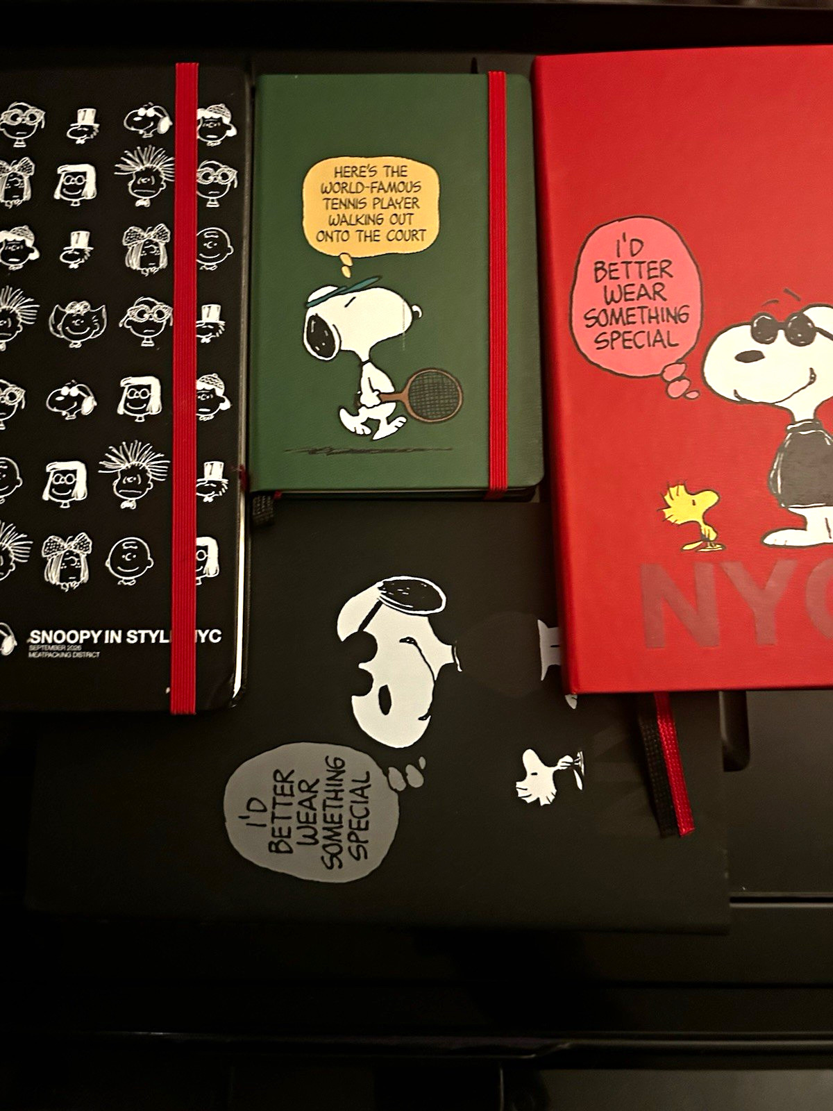 Moleskine Peanuts Snoopy In NYC Journals Lot
