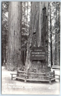 #ad #ad Postcard At Lane#x27;s Redwood Flat on the Redwood Highway California $8.39
