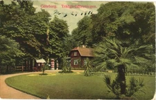Beautiful Garden, Horticultural Society, Park In Gothenburg, Sweden Postcard