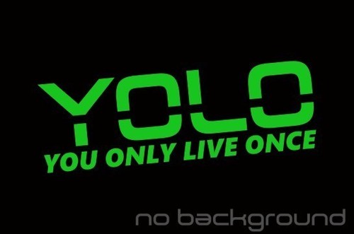 YOLO Sticker Vinyl Decal - You Only Live Once Y.O.L.O. Meme Drake LOL Car Window - Picture 12 of 16