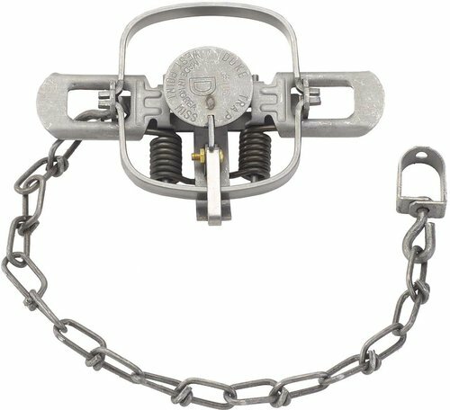6 Duke #1 Coil Spring Traps 0469 Nuisance Raccoon Mink Muskrat Trapping 4"
