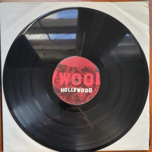 Madonna Hollywood Sander Kleinenberg Remix Single Sided 12" Vinyl Record Rare