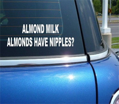 ALMOND MILK ALMONDS HAVE NIPPLES FUN HUMOR NUTS FUNNY CAR DECAL BUMPER STICKER