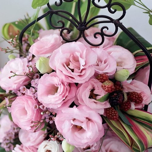 Semillas de flores Eustoma Platycodon Grandiflorum semillas de flores vivas patio exterior - Imagen 15 de 26