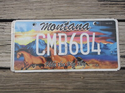 Montana Ride The Big Sky License Plate MT Wildlife Horse Horses Mountains CMB604