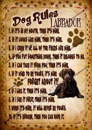 Dog rules design metal wall signs mancave/kitchen/bathroom/bedroom - Picture 49 of 60