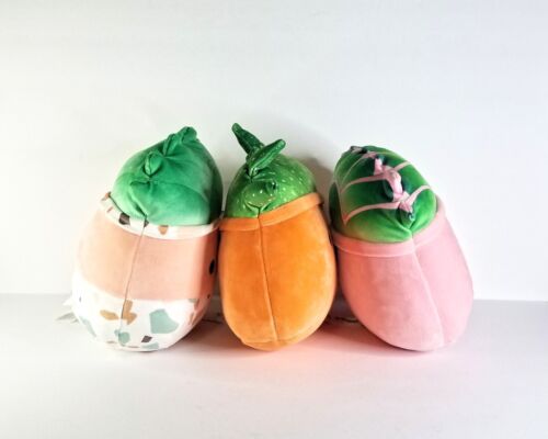 NWT SQUISHMALLOWS Set of 3 Plush Succulent Toys Abena Oz Afiyah 9 10 in Plants - Picture 3 of 12