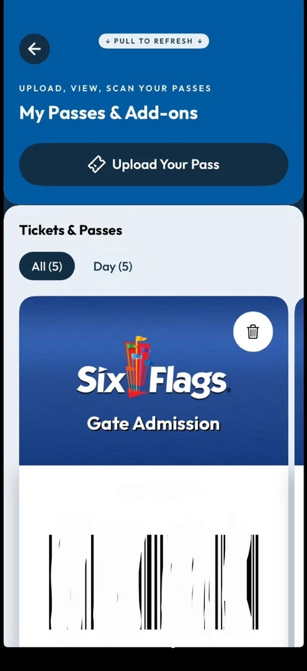 Boleto de un día Six Flags 2025 - Entrega instantánea por correo electrónico, envío gratuito Foto 4 de 4