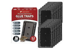 Mouse  Insect Traps 12 Pack, Heavier Sticky Traps with Non-Toxic Glue for Mice