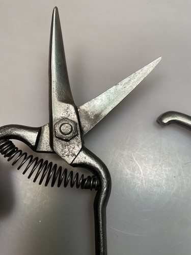Bypass Pruners, Sharp and Ready for Work 2 Pair - Picture 7 of 12