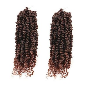 Tiana Passion Twist Hair - 10 inch 2 Pcs Pre-twisted ...