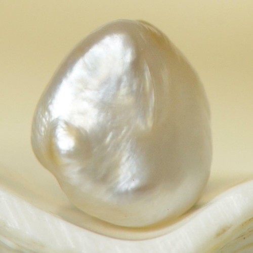 1.80 ct Natural Wild Pteria Penguin Winged Oyster Pearl 7.39 mm - Extremely Rare - Picture 2 of 7