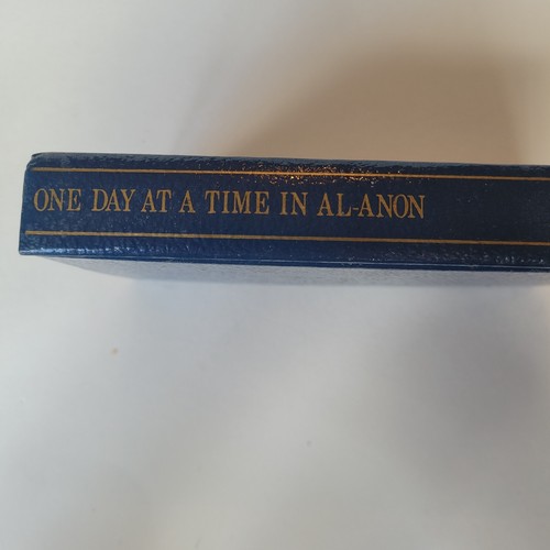 One Day at a Time in Al anon for Families & Friends of Alcoholics Pocket Edition - 第 8/11 張圖片