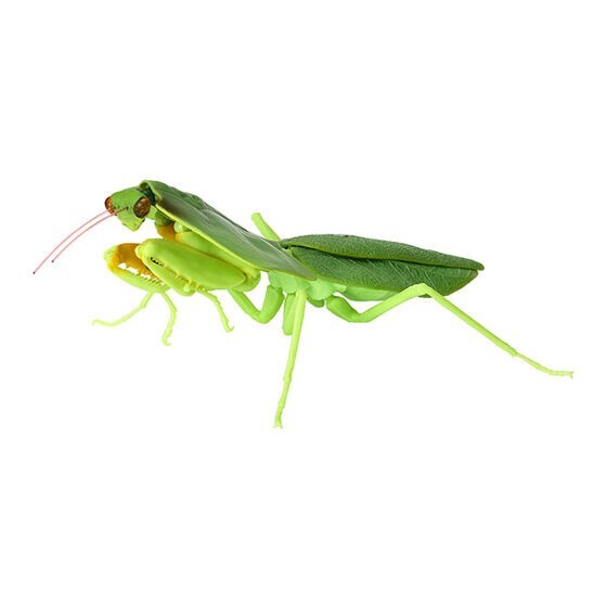 日本盤 SAMSON、 PRAYING MANTIS 2枚セット $_57.JPG?set_id=8800005007
