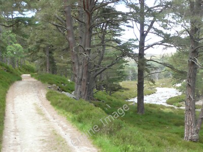 Foto 12x8 Quoich Wasser Allanaquoich mit alten Kiefern und Spur Up Glen c2010