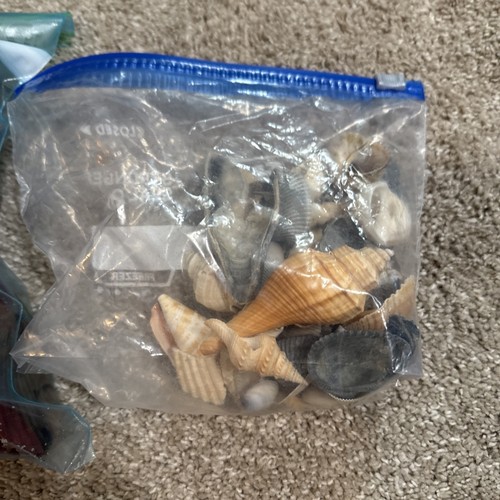 Hermit Crab Enclosure Decorations - Bild 4 von 4