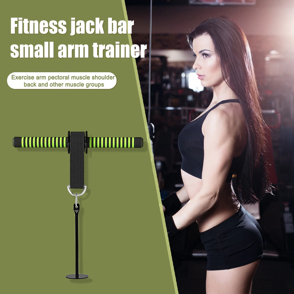 Forearm roll 2025