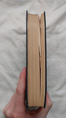 Der Helm von Navarra Bertha Runkle 1901 Vintage blau Hardcover - Bild 4 von 10