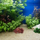 Bild 6 von 12