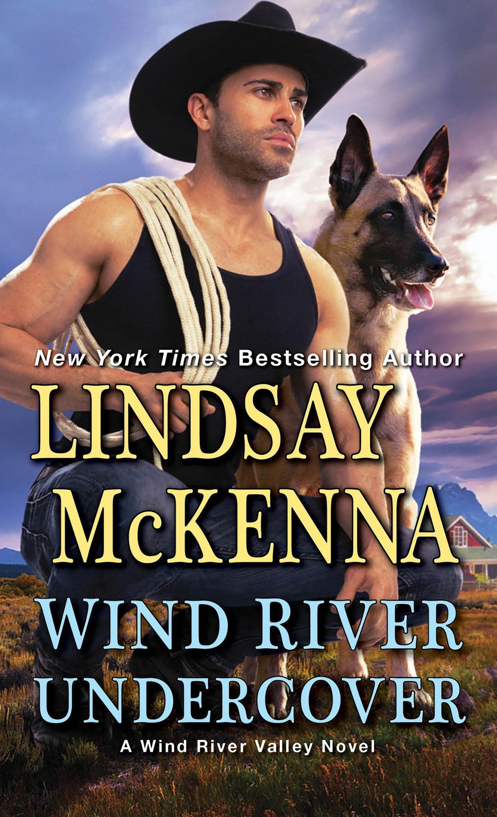 Thumbnail - Lindsay Mckenna | Wind River Undercover | Taschenbuch | Englisch