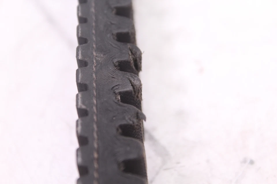 1987 POLARIS INDY 600 CINTO DE EMBREAGEM DAYCO XTX 5020 - Imagem 4 de 4