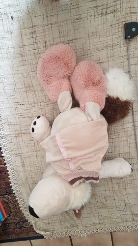 nici. Husky. Gebraucht. ca.70cm. (siehe Bilder) - Bild 3 von 5
