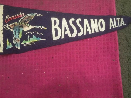 VINTAGE BASSANO Alberta Canada SOUVENIR PENNANT BANNER GOOSE GEESE -FAST SHIPPER