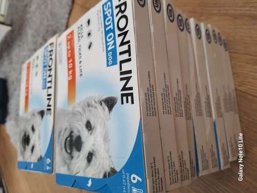 FRONTLINE Spot On Flea & Tick Treatment for Small Dog (2-10kg) 6 Pipettes - Bild 6 von 9