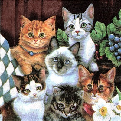 (2) Two Paper Lunch Napkins for Decoupage/Mixed Media - Group of Cats kitties