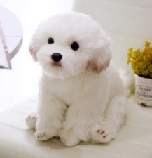 Maltese Bichon Frise Puppy Dog 14 Inch Stuffed Animal Plush Toys Doll Kids Gifts