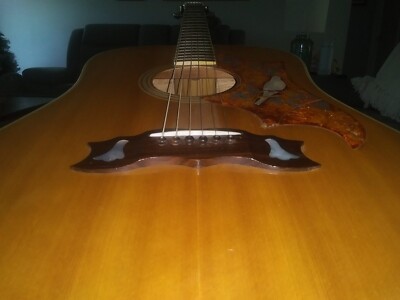 1970s Vintage Aria Dove Custom PW-35 Acoustic Guitar (old case