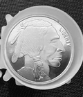 FULL ROLL 1 oz SilverTowne Buffalo Silver Rounds (BU - 20 coins) FREE SHIP w/ins